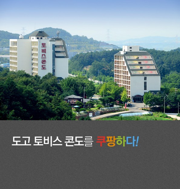 도고 토비스콘도 충청 애견숙소